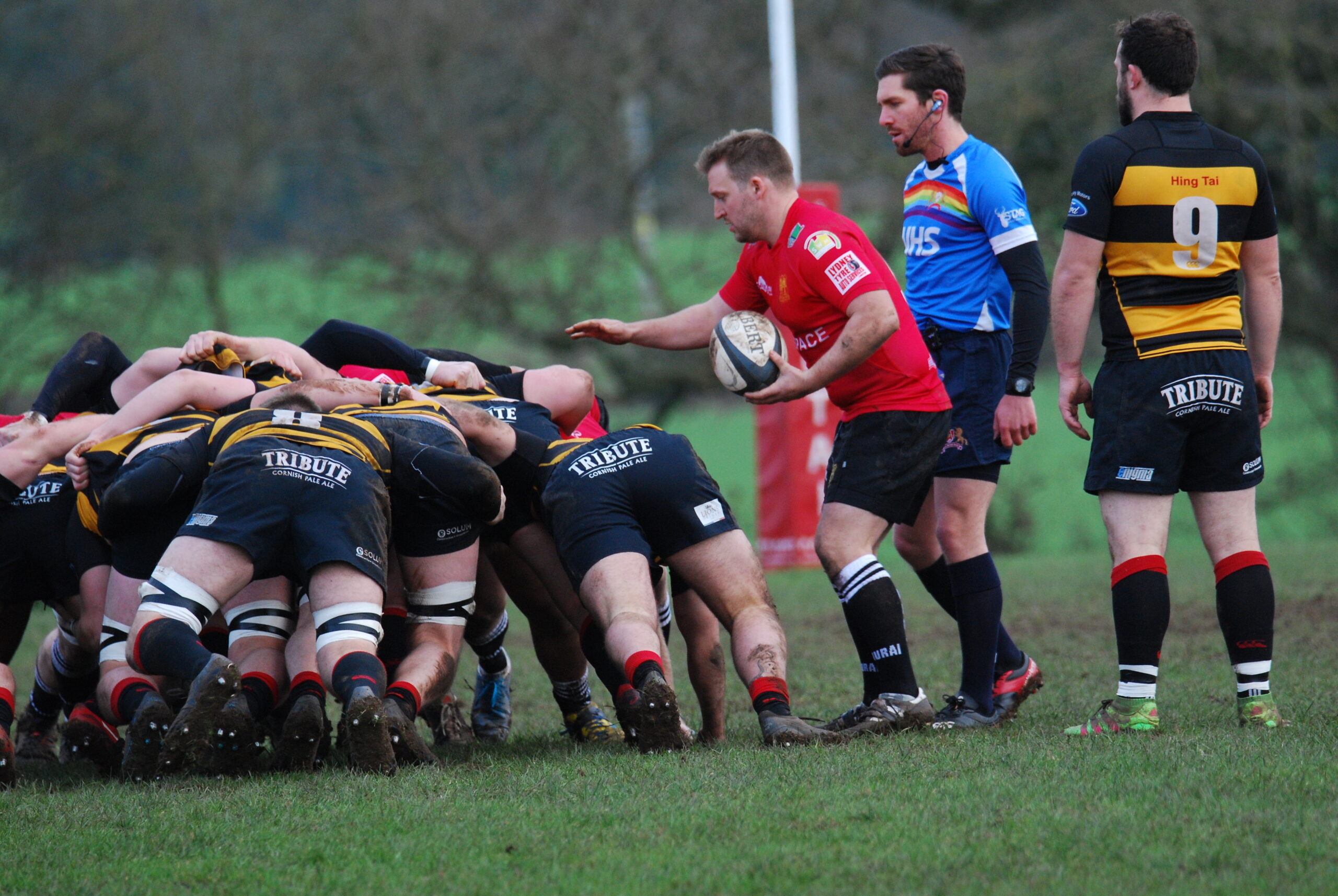 Lydney Rfc Thorbury Away Match Report - The Bledisloe Club Lydney RFC